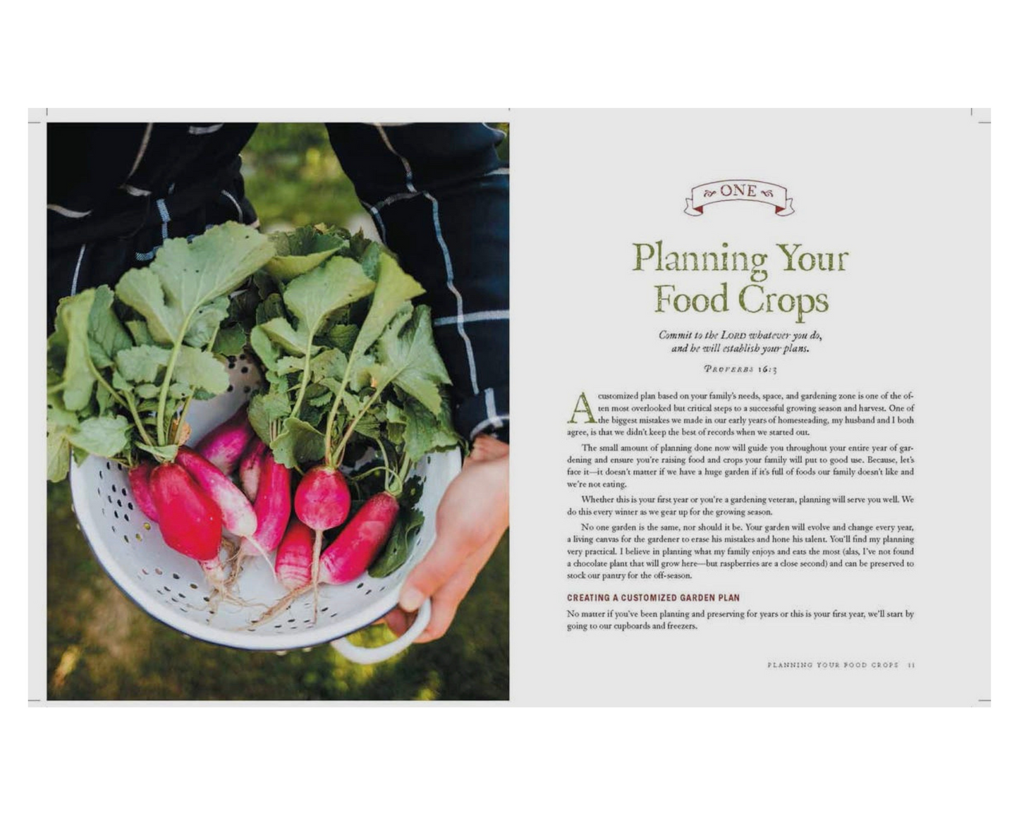 The Family Garden Book