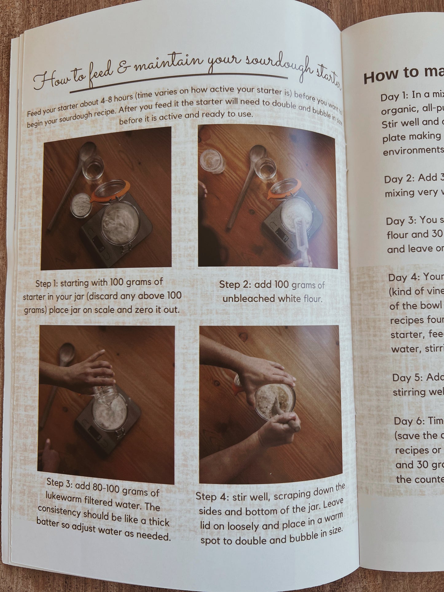 Sourdough Booklet