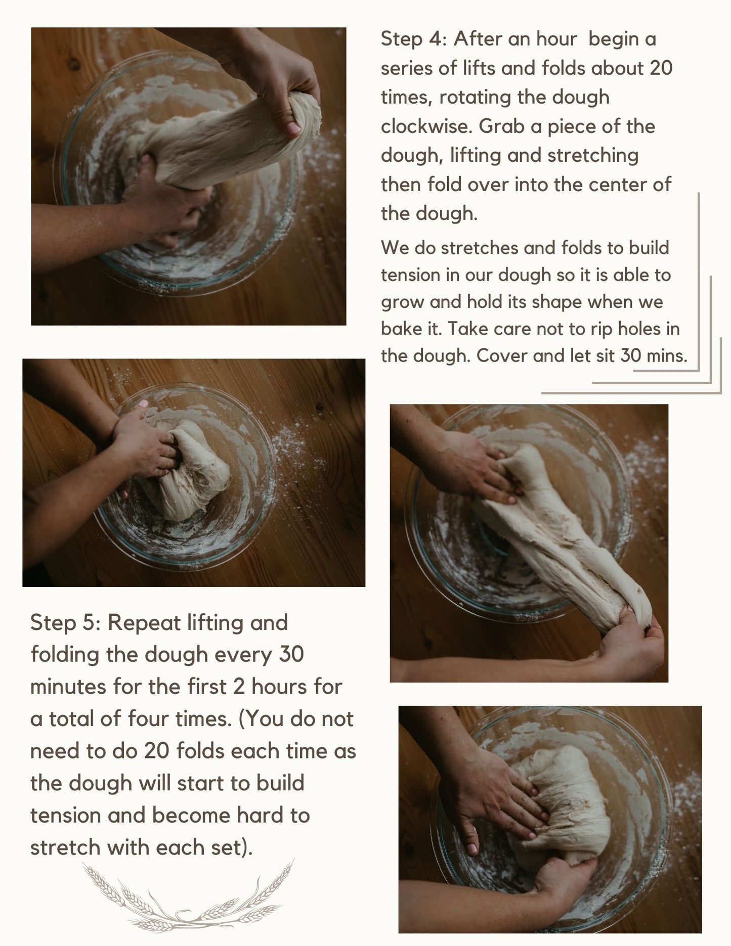 Digital Sourdough Guide
