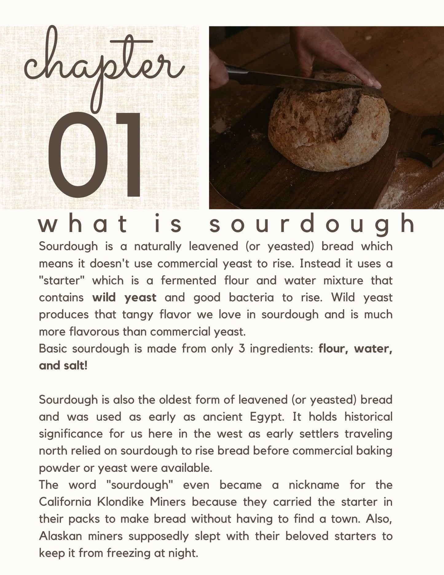 Digital Sourdough Guide