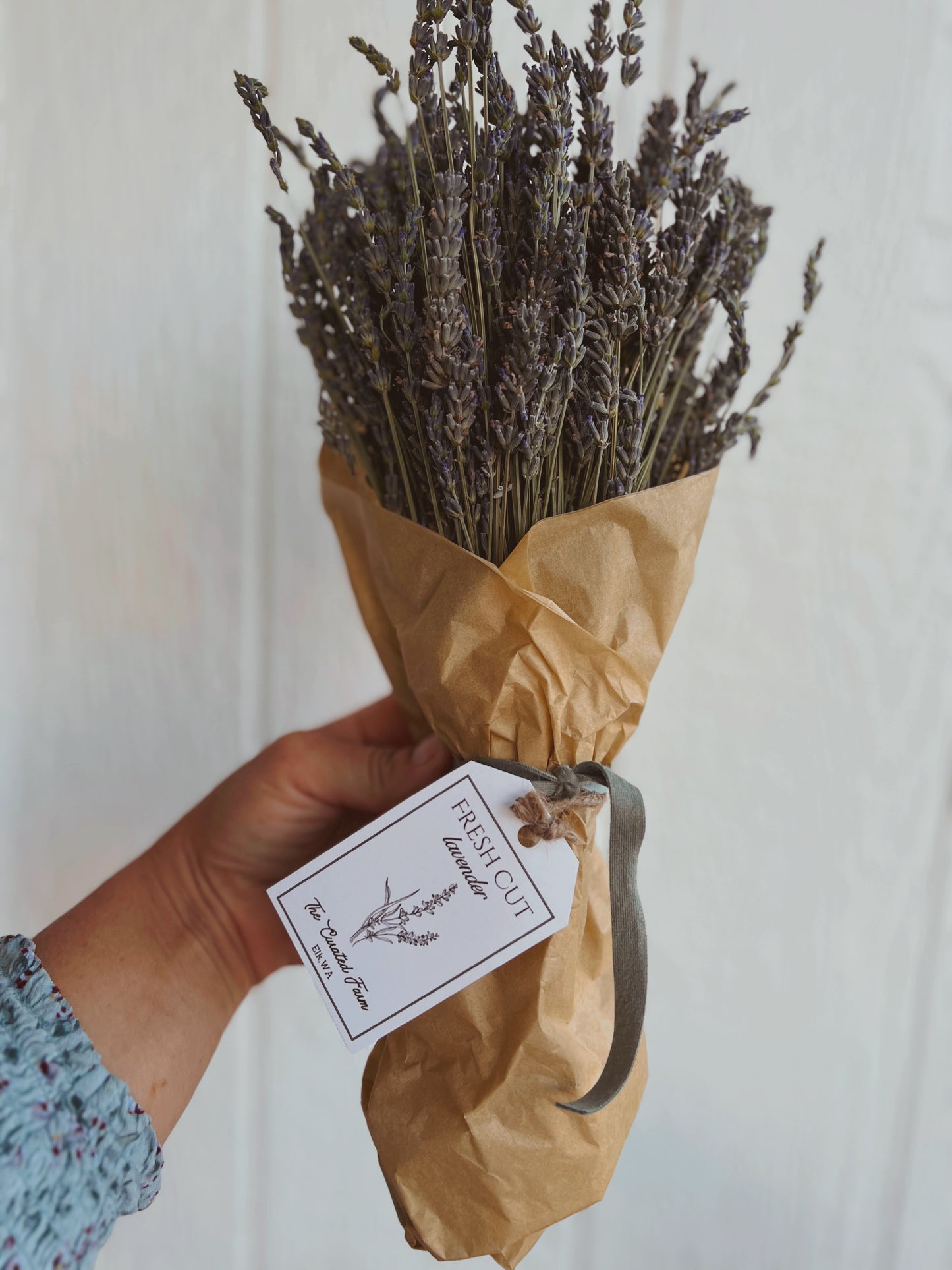Farm Fresh Lavender Bundles (short stem)